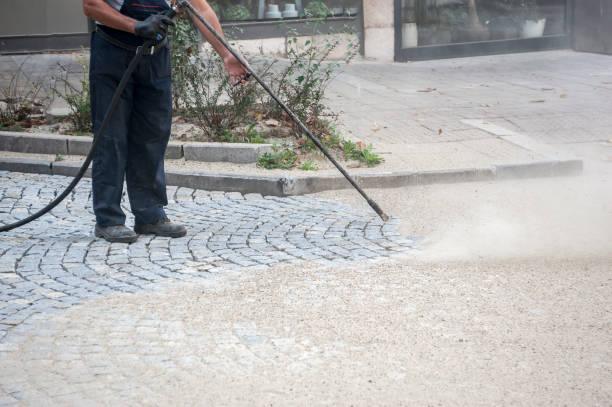 Best Sidewalk and Walkway Pressure Cleaning in Princeton, TX